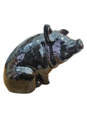 Rana CA1