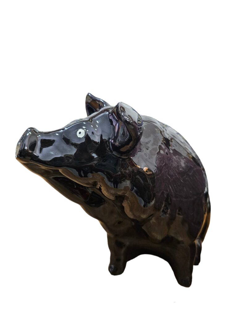 WhatsApp Image 2024-02-27 at 18.31.36 (2) Jabato Negro