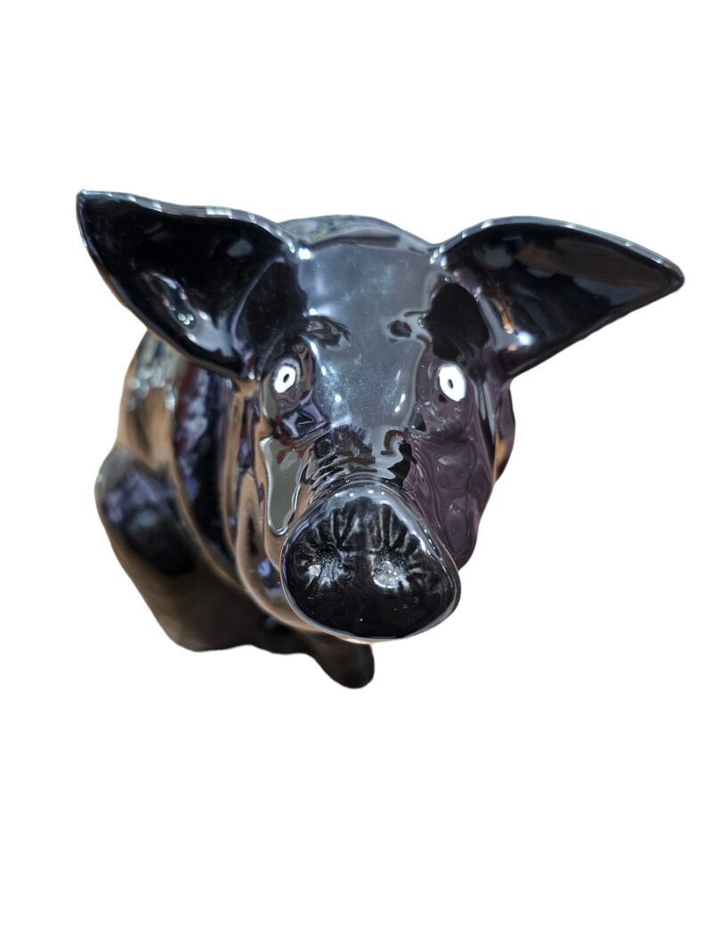 WhatsApp Image 2024-02-27 at 18.31.36 Jabato Negro