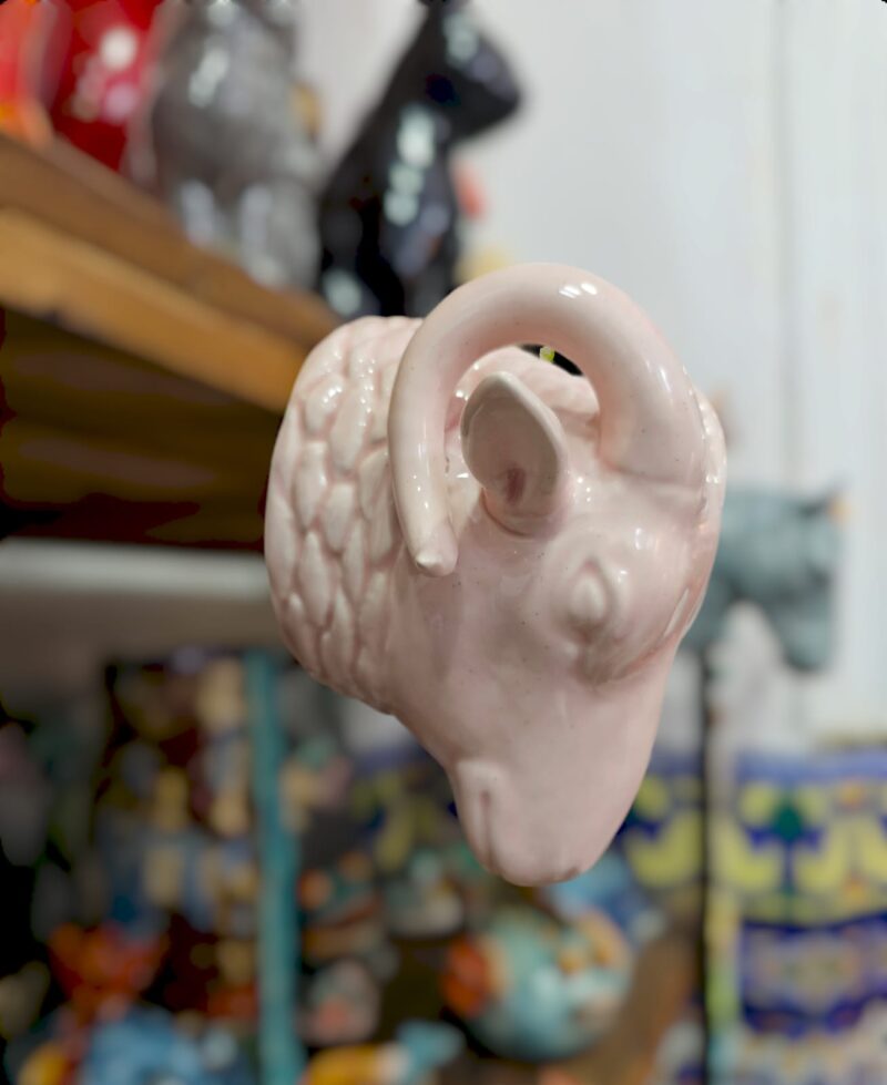 Cabeza Cabrillo Rosa Pastel