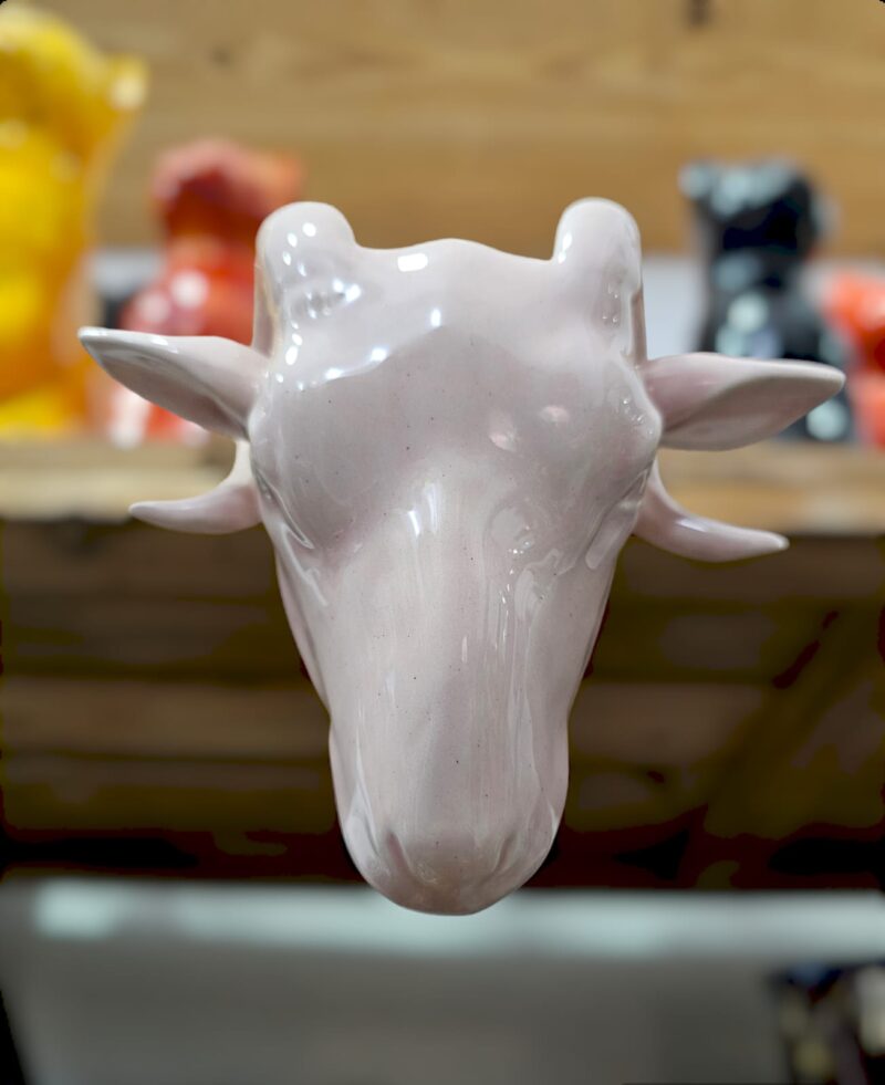 Cabeza Cabrillo Rosa Pastel