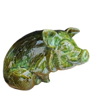 Rana CA1