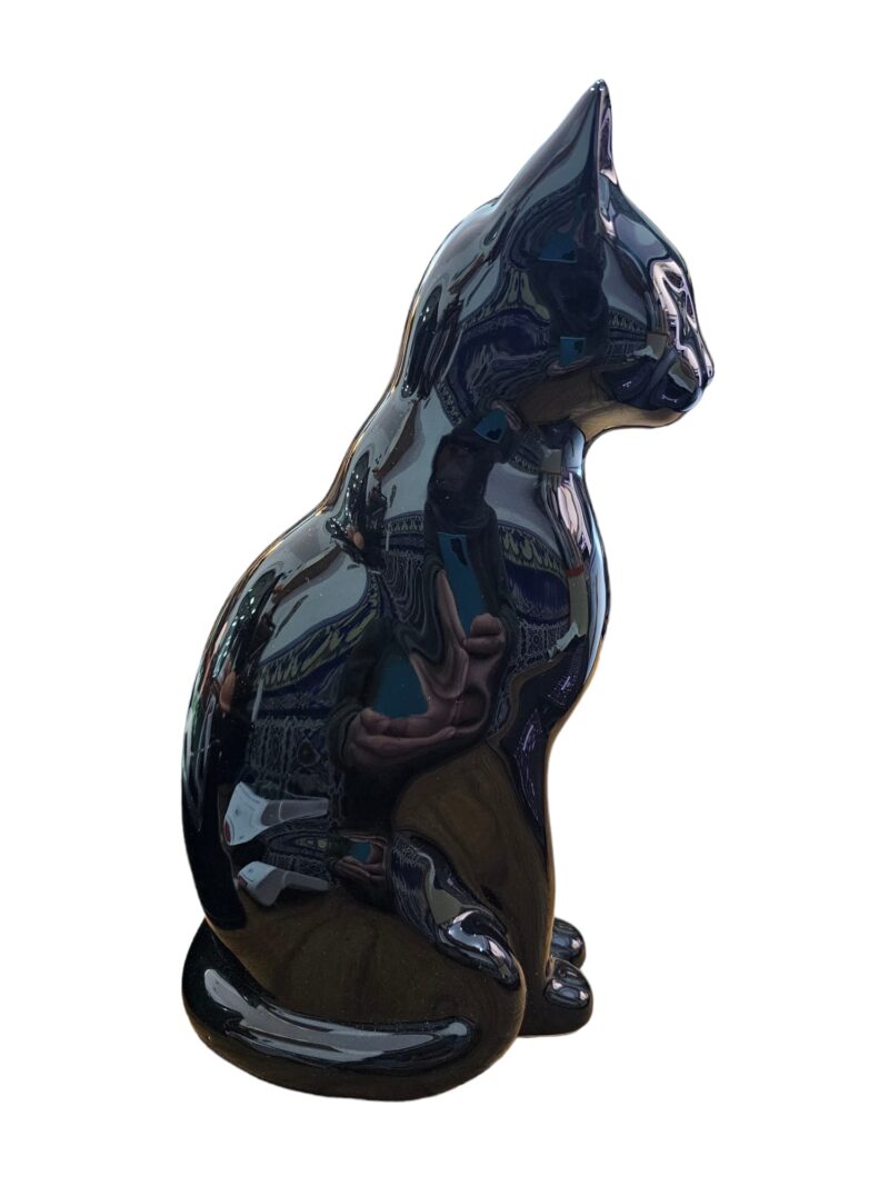 WhatsApp Image 2024-02-28 at 13.04.38 (1) Gato G1 Negro