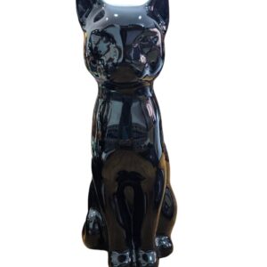 Gato G1 Negro
