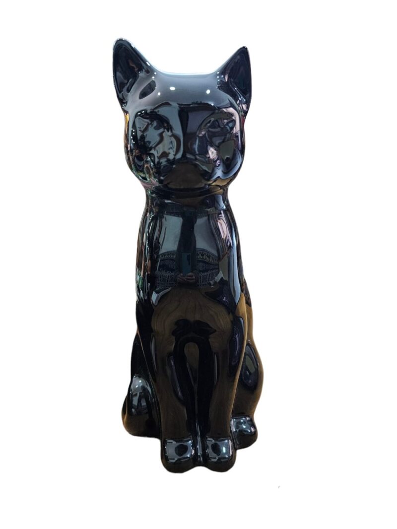 WhatsApp Image 2024-02-28 at 13.04.38 (2) Gato G1 Negro