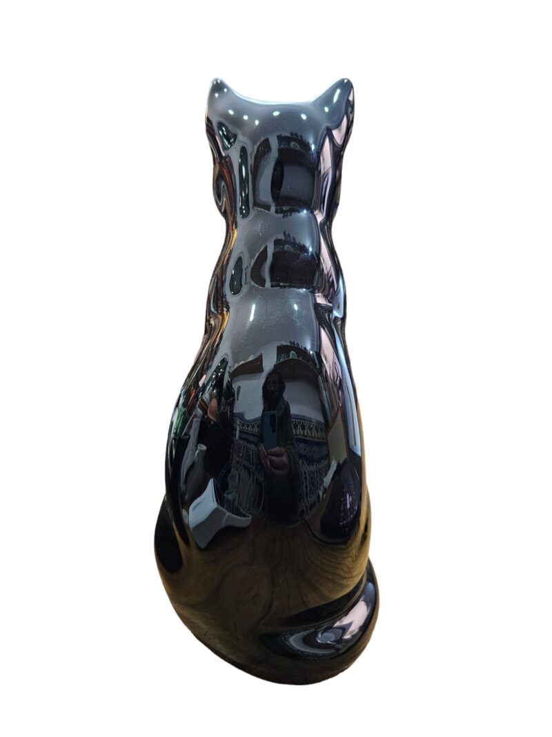 WhatsApp Image 2024-02-28 at 13.04.38 Gato G1 Negro