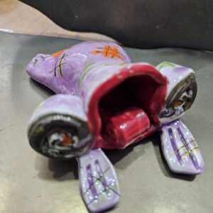 Rana CAM1