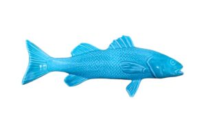 Rana CA1