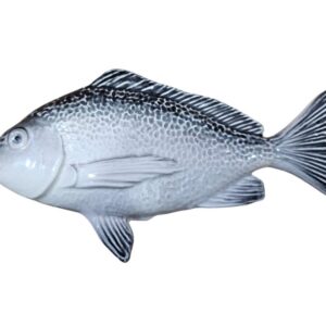 La Dorada G1