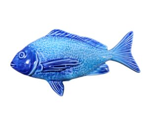 Rana CA1