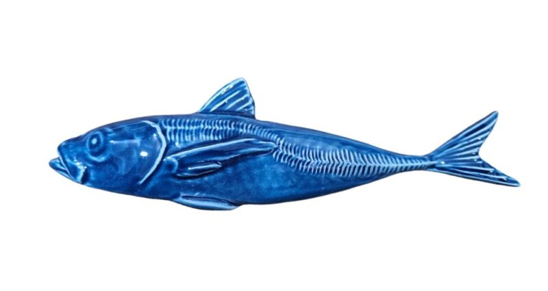 WhatsApp Image 2024-03-11 at 19.48.18 El Jurel A1