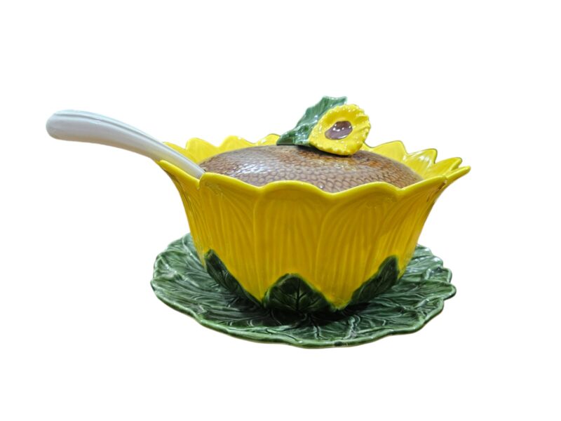 WhatsApp Image 2024-03-12 at 20.23.08 (4) Sopera Girasol