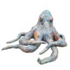 Pulpo CAS1