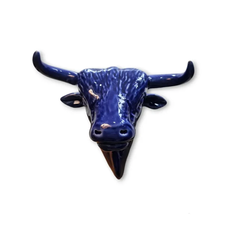 WhatsApp Image 2024-04-25 at 18.09.08 (1) Cabeza Toro Azul T1